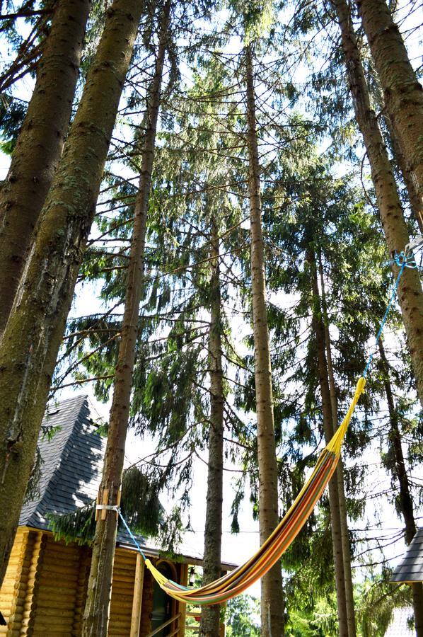 Pensiunea Panoramic Vârtop Buitenkant foto