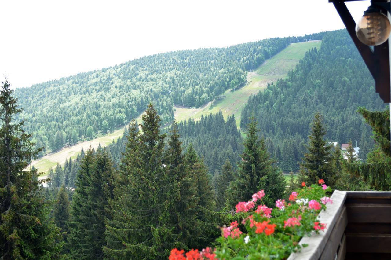 Pensiunea Panoramic Vârtop Buitenkant foto